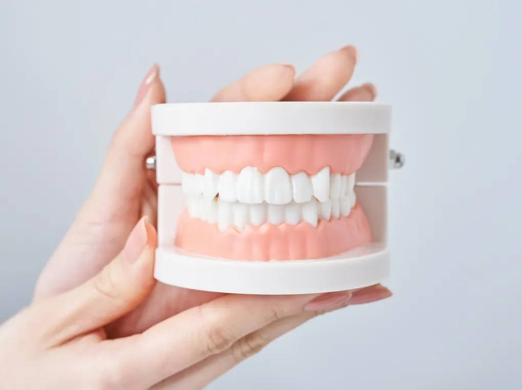 歯並びを治す本当の目的